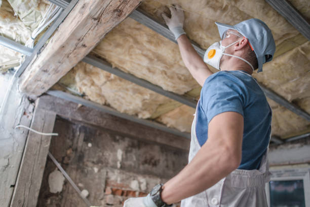 Best Insulation Maintenance and Repair in Lambertville, NJ